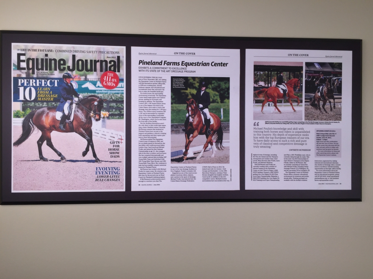 Multiple Mount Equine 3 panels